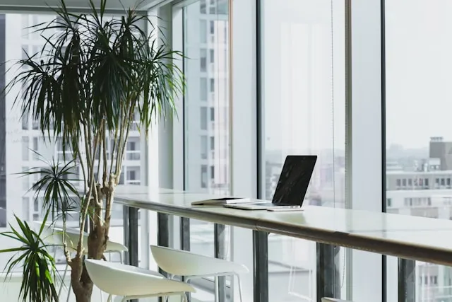 Office Culture